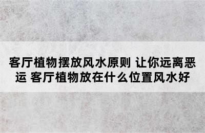 客厅植物摆放风水原则 让你远离恶运 客厅植物放在什么位置风水好